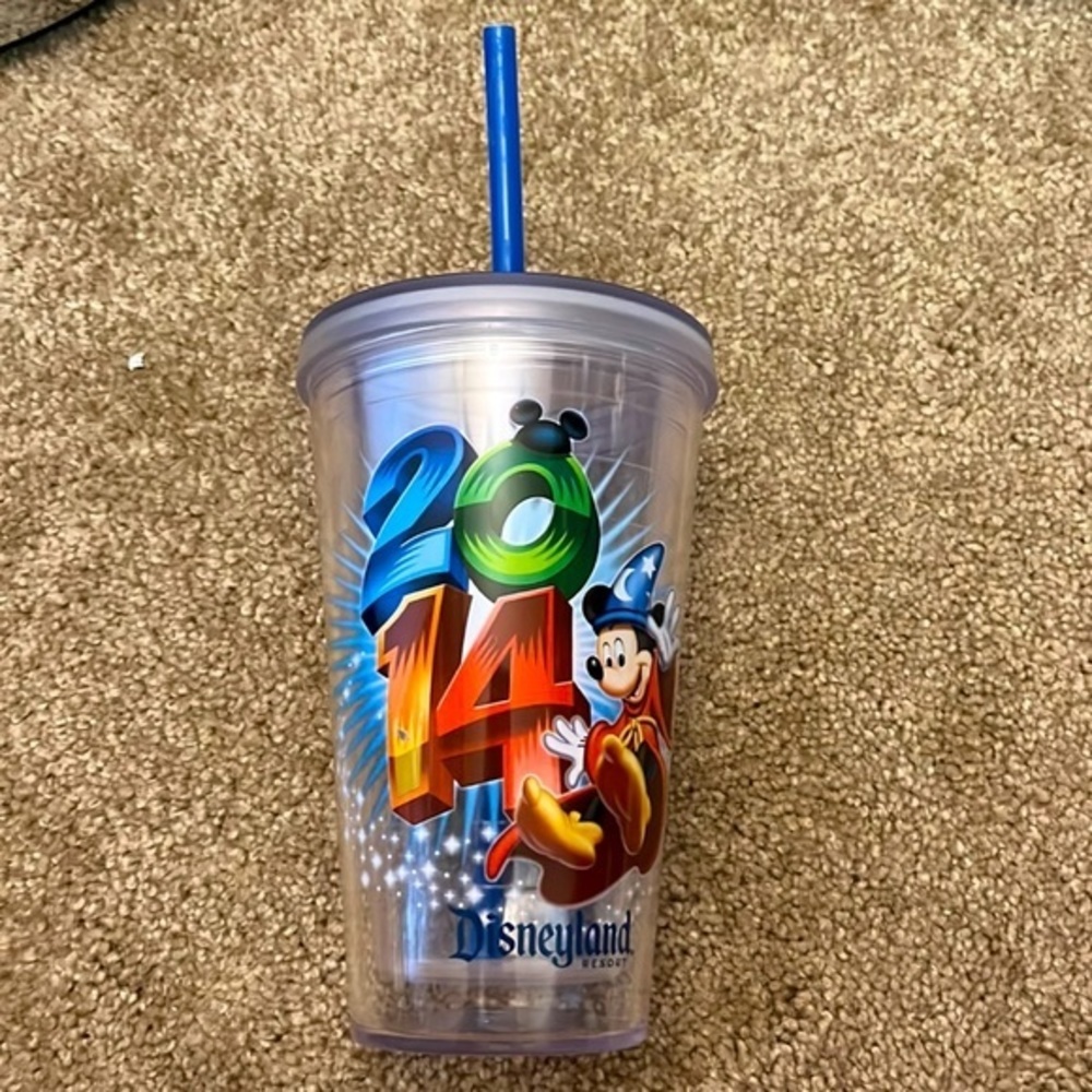 2014 Disneyland Tumbler